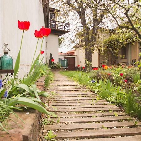 Mango Rooms Brasov Ngoại thất bức ảnh